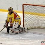 S trochou nadsázky – na led vyjela exligová Radomyšl