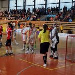 Parádní florbalová show: Herbadent vyprášil Olomouc před milevskými diváky 9:2!