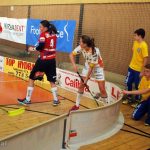 Parádní florbalová show: Herbadent vyprášil Olomouc před milevskými diváky 9:2!