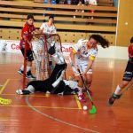 Parádní florbalová show: Herbadent vyprášil Olomouc před milevskými diváky 9:2!