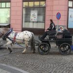 Předposlední trhy ve Strakonicích trápil vítr