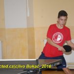 V Dražicích věnovali první sváteční den stolnímu tenisu. Pohár odvezl Milan Vlček