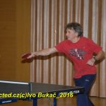 V Dražicích věnovali první sváteční den stolnímu tenisu. Pohár odvezl Milan Vlček