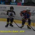 ČEZ cup mládeže v Táboře: Oba poháry vítězů zůstaly v táborském okrese