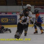 ČEZ cup mládeže v Táboře: Oba poháry vítězů zůstaly v táborském okrese