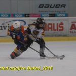 ČEZ cup mládeže v Táboře: Oba poháry vítězů zůstaly v táborském okrese