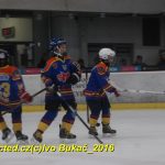 ČEZ cup mládeže v Táboře: Oba poháry vítězů zůstaly v táborském okrese