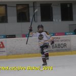 ČEZ cup mládeže v Táboře: Oba poháry vítězů zůstaly v táborském okrese