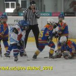 ČEZ cup mládeže v Táboře: Oba poháry vítězů zůstaly v táborském okrese