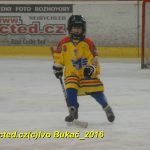 ČEZ cup mládeže v Táboře: Oba poháry vítězů zůstaly v táborském okrese