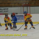 ČEZ cup mládeže v Táboře: Oba poháry vítězů zůstaly v táborském okrese