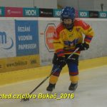 ČEZ cup mládeže v Táboře: Oba poháry vítězů zůstaly v táborském okrese
