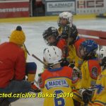 ČEZ cup mládeže v Táboře: Oba poháry vítězů zůstaly v táborském okrese