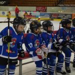 ČEZ cup mládeže v Táboře: Oba poháry vítězů zůstaly v táborském okrese