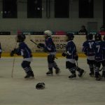 ČEZ cup mládeže v Táboře: Oba poháry vítězů zůstaly v táborském okrese
