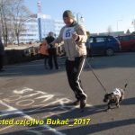 Novoroční běh táborským sídlištěm přilákal přes 70 běžců