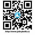 Nový online pracovní portál jobrybnik.cz pro region jižní Čechy