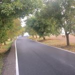 Anketa Alej roku 2016 zná své vítěze. V jižních Čechách je to kaštanová alej v Českých Velenicích