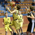 Mladí písečtí Sršni se kvalifikovali na republikový šampionát