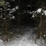 Dva mrtví muži byli nalezeni v lesích na Jindřichohradecku