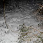 Dva mrtví muži byli nalezeni v lesích na Jindřichohradecku