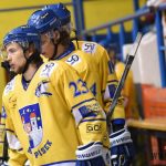 Písečtí hokejisté prohráli i se slabým českobudějovickým David Servisem