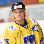 Písečtí hokejisté prohráli i se slabým českobudějovickým David Servisem