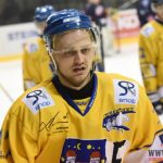 Písečtí hokejisté prohráli i se slabým českobudějovickým David Servisem