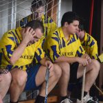 VFL: Florbalové finále ovládli hokejisté