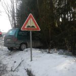 Auto skončilo mezi stromy