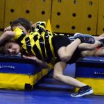 Zaplněná sportovní hala tleskala milevským sokolům