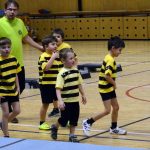 Zaplněná sportovní hala tleskala milevským sokolům