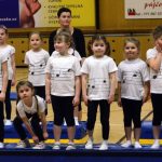 Zaplněná sportovní hala tleskala milevským sokolům