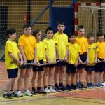 Zaplněná sportovní hala tleskala milevským sokolům