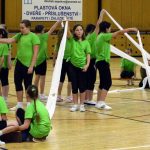 Zaplněná sportovní hala tleskala milevským sokolům