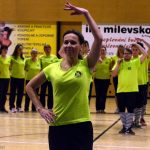 Zaplněná sportovní hala tleskala milevským sokolům
