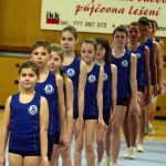 Zaplněná sportovní hala tleskala milevským sokolům
