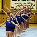 Zaplněná sportovní hala tleskala milevským sokolům
