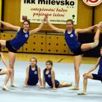 Zaplněná sportovní hala tleskala milevským sokolům
