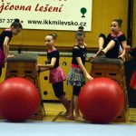 Zaplněná sportovní hala tleskala milevským sokolům