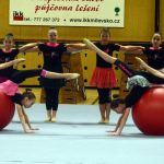 Zaplněná sportovní hala tleskala milevským sokolům