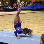 Zaplněná sportovní hala tleskala milevským sokolům