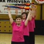 Zaplněná sportovní hala tleskala milevským sokolům