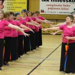 Zaplněná sportovní hala tleskala milevským sokolům