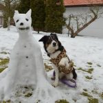 Masopustní reje v plném proudu. V sobotu maškary řádily v Borovanech