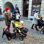 Maškarní průvod prošel centrem Tábora