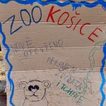 Maškarní veselí dnes pokračuje. Karnevaly si užijí děti i dospělí