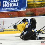 Jako první zakončili hokejovou sezonu junioři Písku