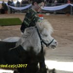 V píseckém hřebčinci diváci viděli koně a jezdce v akci. Další přehlídka bude už za týden