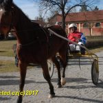 V píseckém hřebčinci diváci viděli koně a jezdce v akci. Další přehlídka bude už za týden